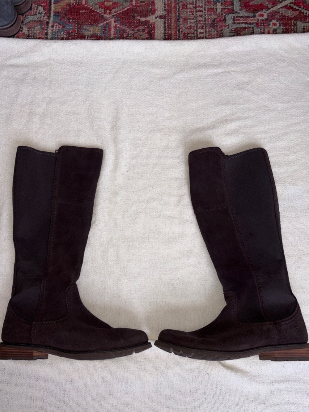 Ariat Dark Brown Suede Over-the-Knee Riding Boots